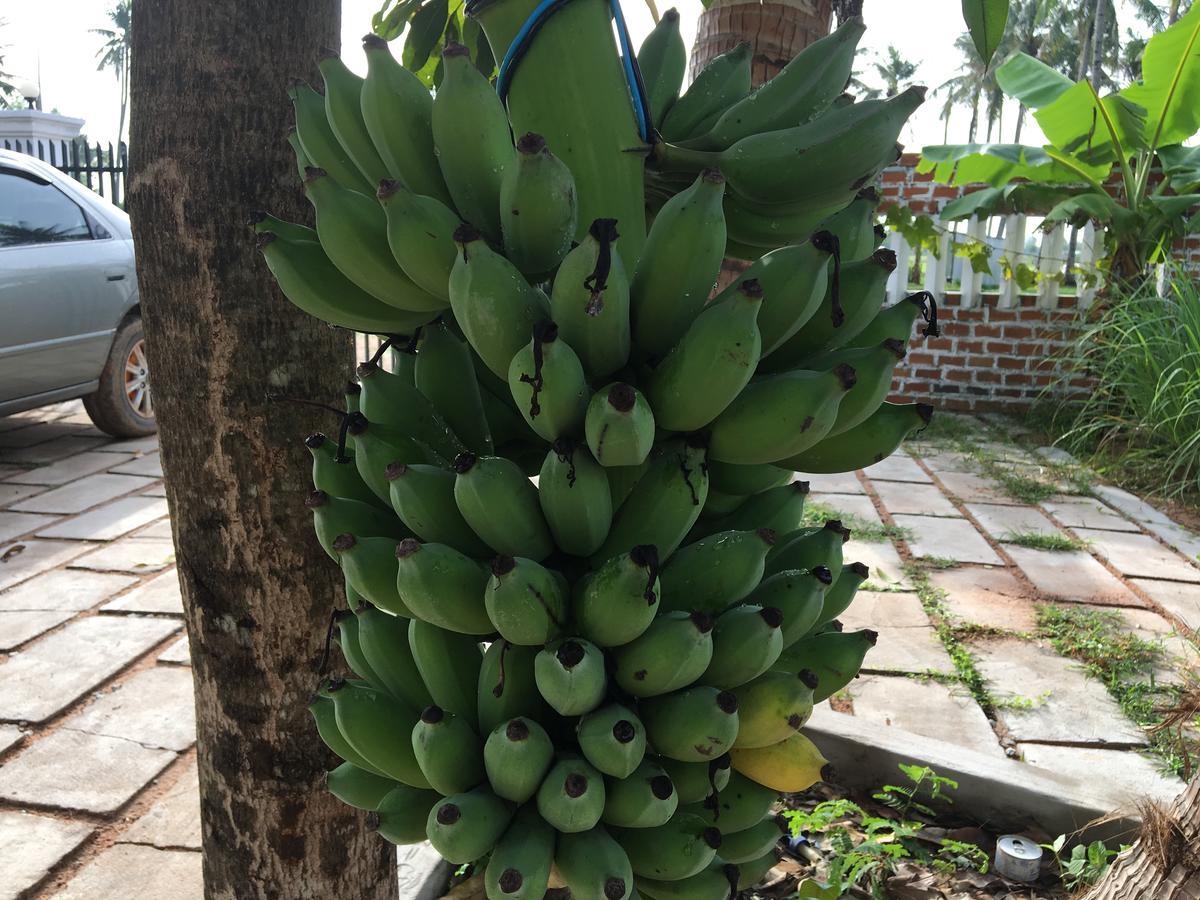 绿色生活小屋 暹粒 外观 照片